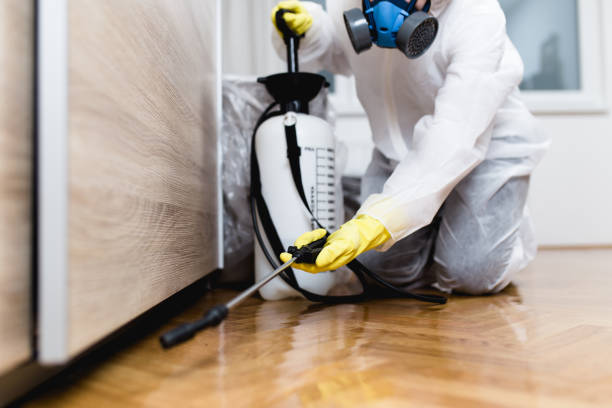 Best Ant Control Services  in Presquille, LA