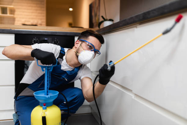 Best Mosquito Control Services  in Presquille, LA