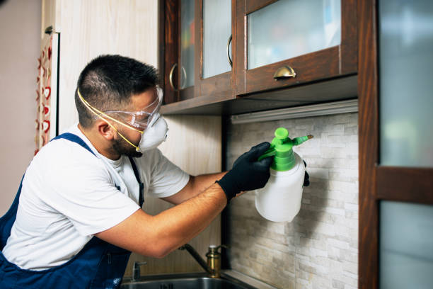 Best Pest Control Near Me  in Presquille, LA