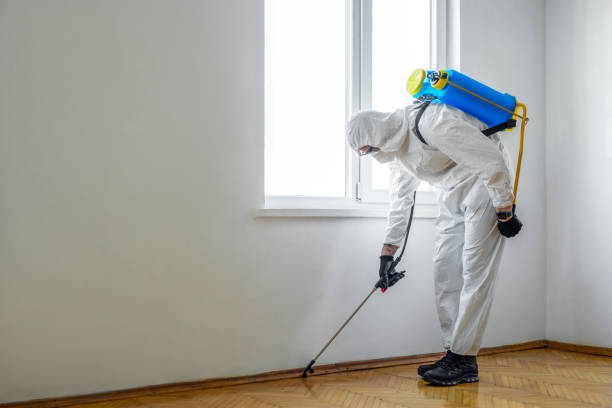 Best Exterminator Services  in Presquille, LA