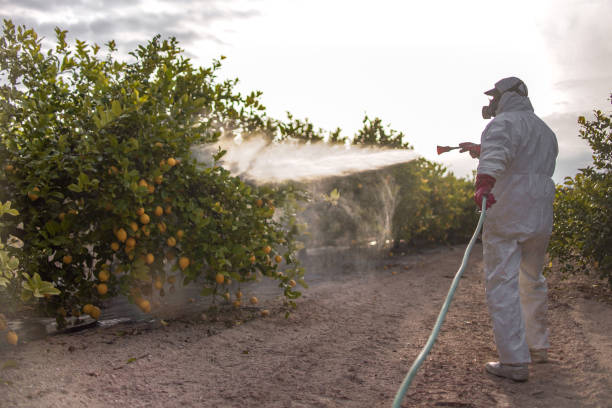 Best Pest Control for Businesses  in Presquille, LA