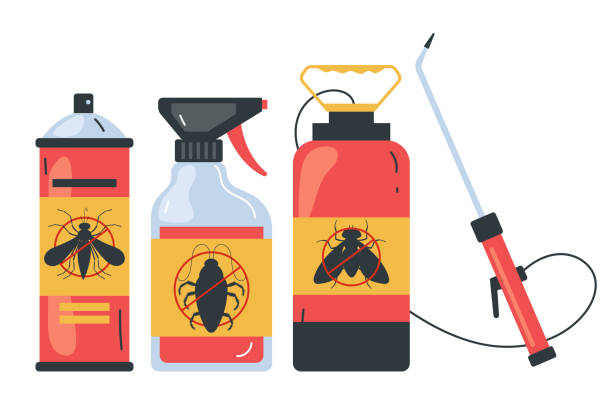 Best Spider Control Near Me  in Presquille, LA