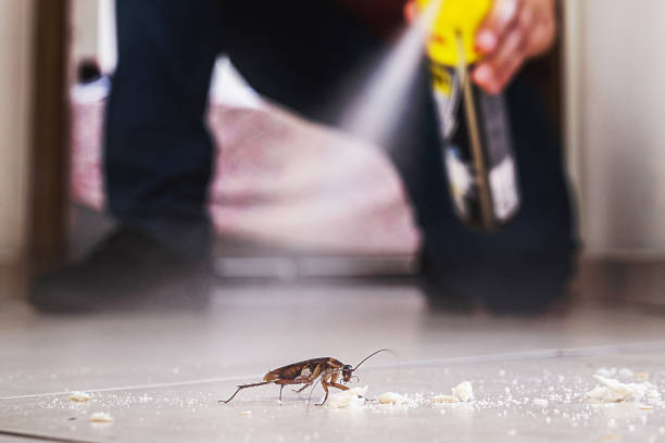 Best Pest Prevention Services  in Presquille, LA