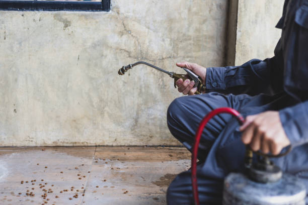 Best Pest Control Cost  in Presquille, LA